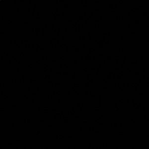 Meet your Posher, Breyonna